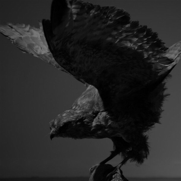 Fine art photographer 04